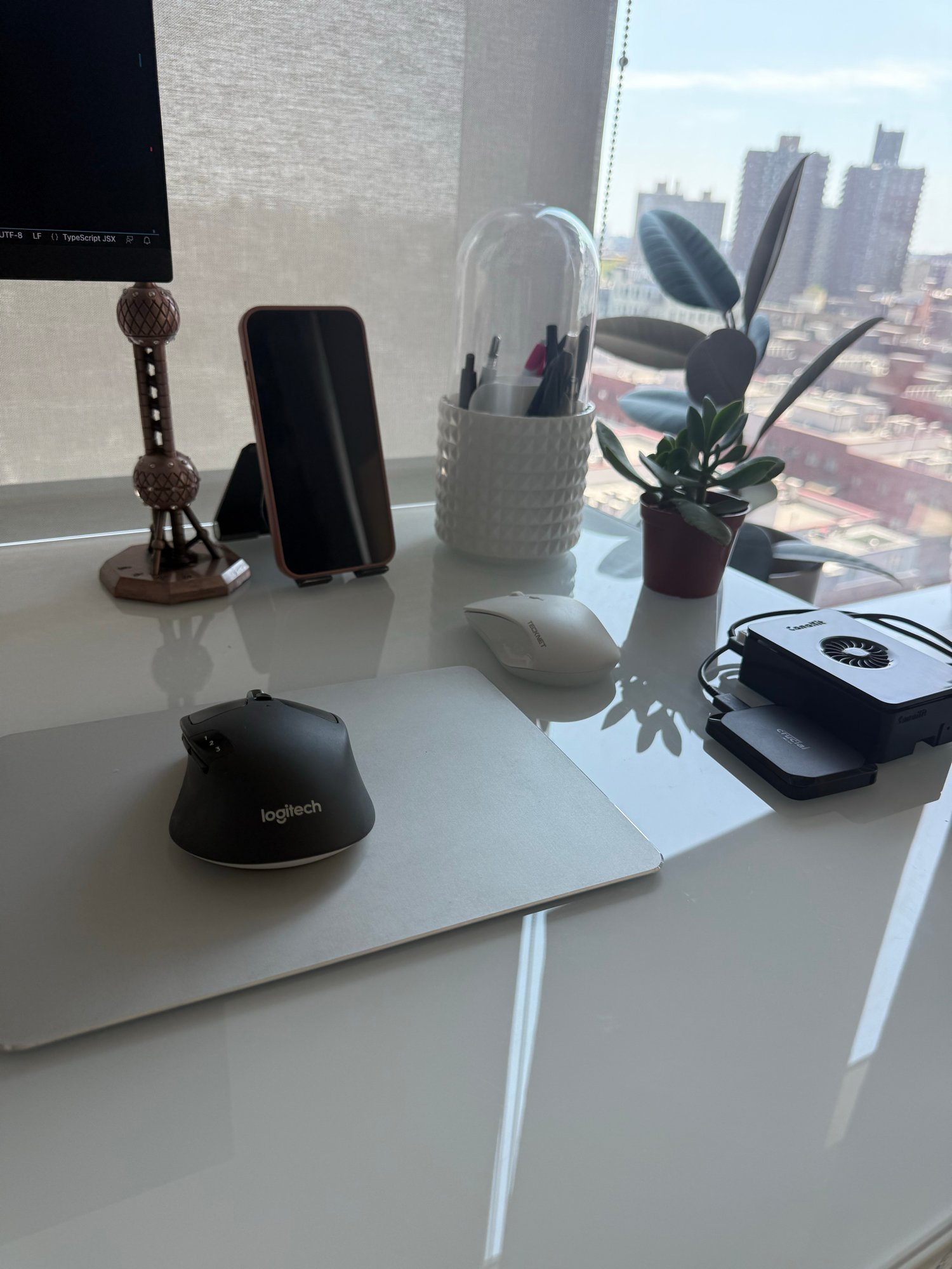 Home office desk with a Raspberry Pi homelab, laptop, mouse, phone, and plant by a window